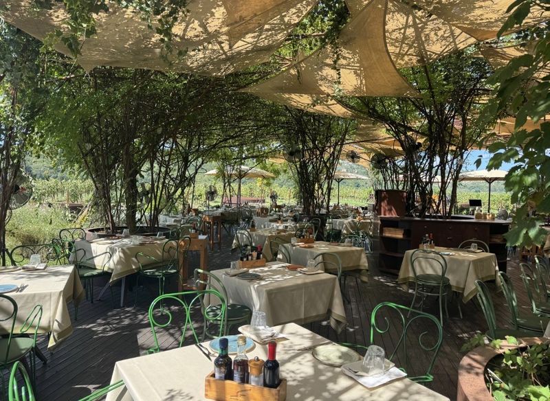 Restaurant-Terrasse unter Bäumen
